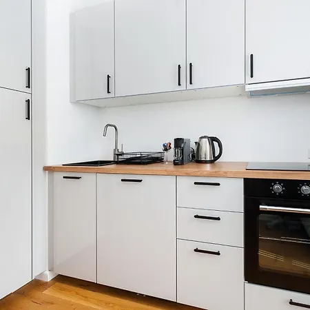 Rakowicka Steam Park, Sun & Snow